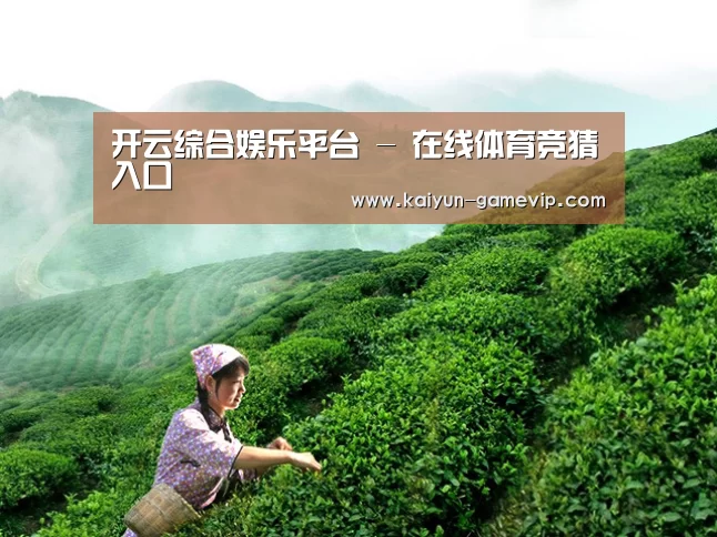 开云综合娱乐平台 - 在线体育竞猜入口