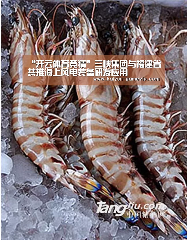 开云综合娱乐平台